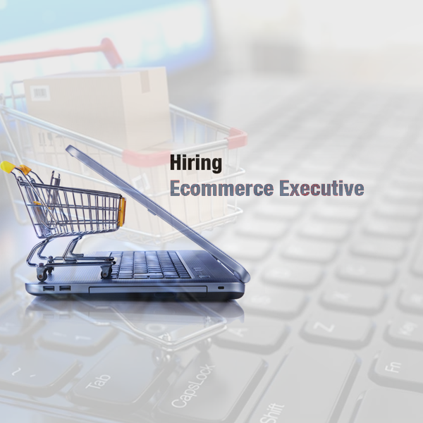 E Commerce Executive/ Manager