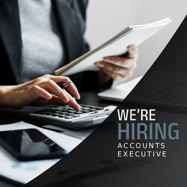 Accountant