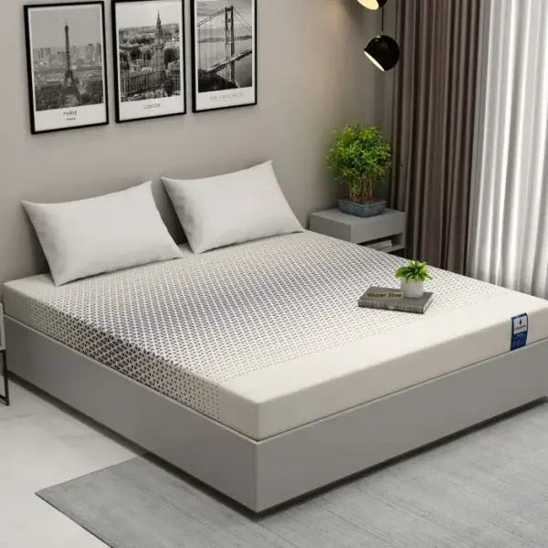 WoodenStreet-Penguin DreamLux High Density HR Foam Mattress