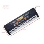61 Keys Electronic Piano Keyboard for Beginners with LED Display & Mic | Portable Digital Music Keyboard with Multiple Tones
