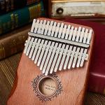 Palap Kalimba Thumb 17 Keys Piano with Engraved Notes in Protective EVA Case - Dark Brown